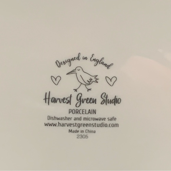 Skull with Script and Insects Porcelain Halloween Bowl - Picture 13 of 13